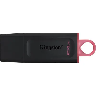 Fləş kart Kingston DataTraveler Exodia USB 3.2 Gen 1 256GB (DTX/256GB)