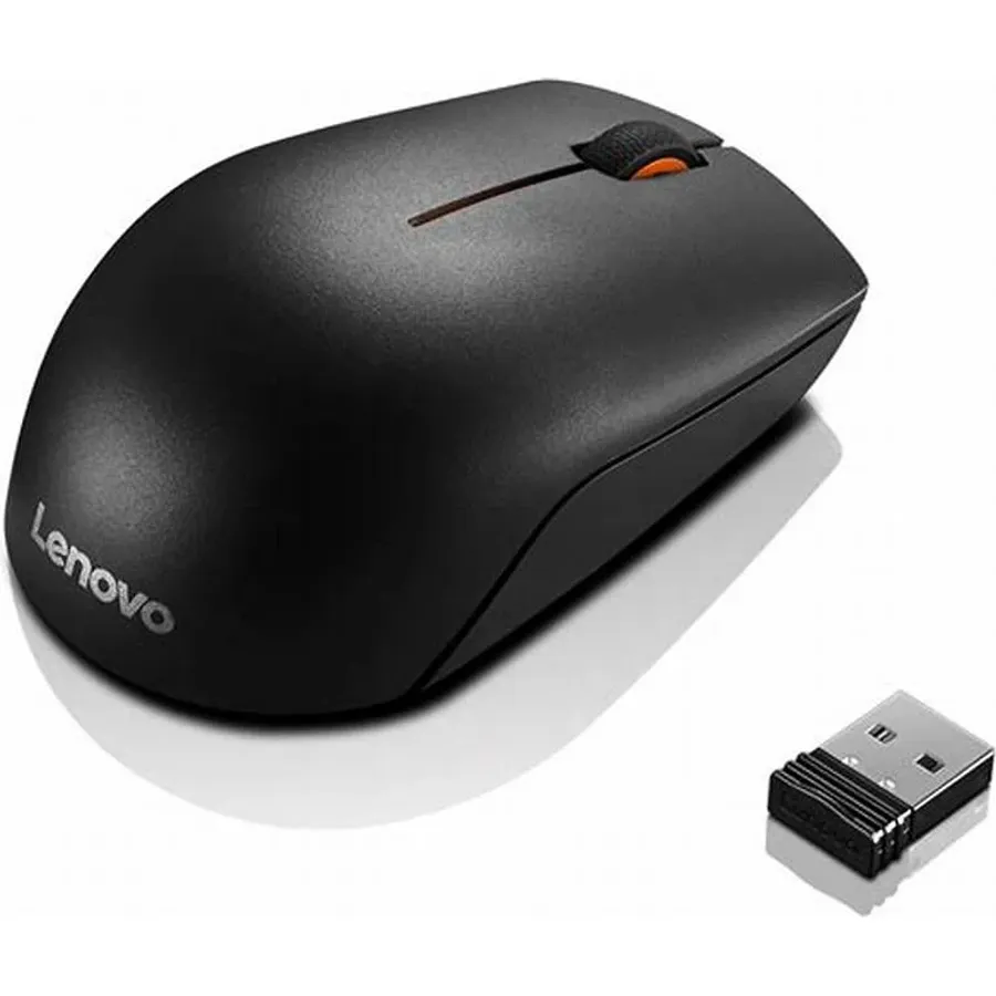 Mouse Lenovo 300 USB Wired Black (GX30M39704)